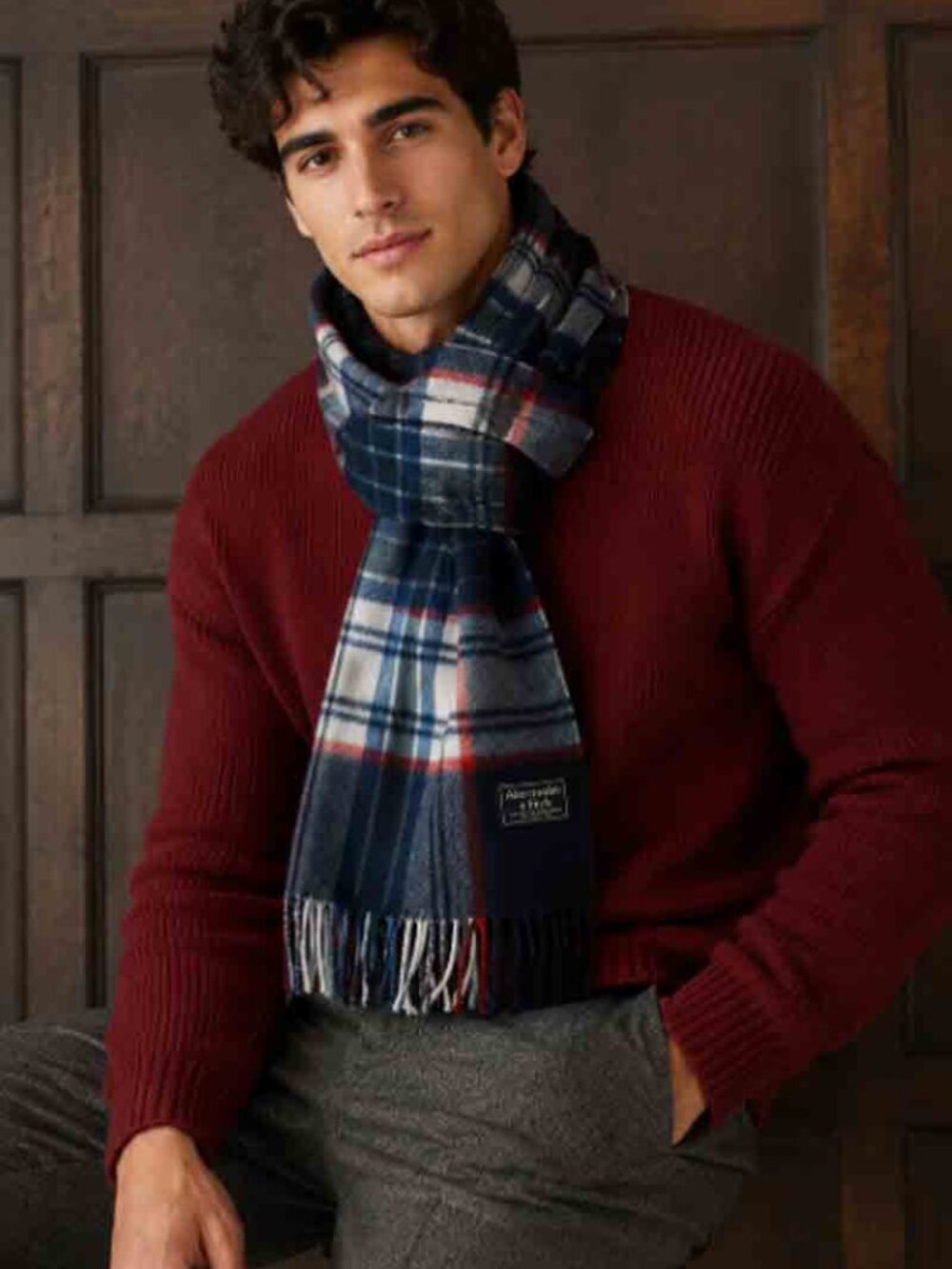NWT Abercrombie and Fitch Wool Blend Plaid Winter Scarf Blue Gray Red Men's